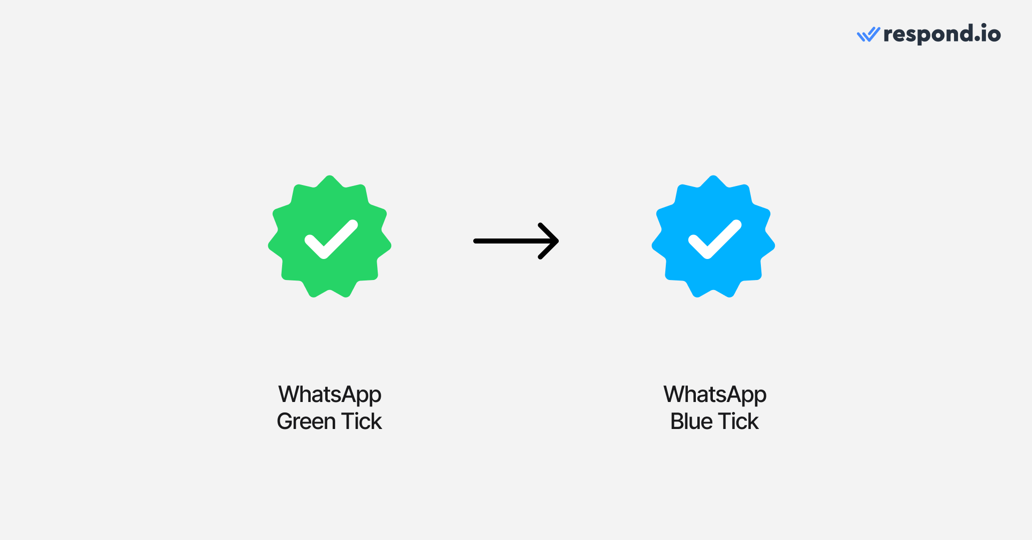 Cette image montre la transition de la coche verte WhatsApp à la coche bleue WhatsApp.