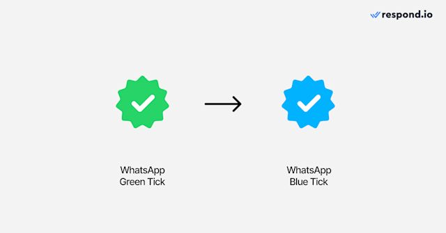 This image shows the transition from the WhatsApp Green Tick to the WhatsApp Blue Tick