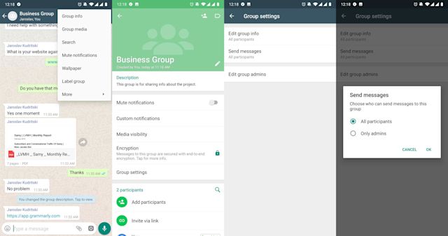 This is a picture showing how you stop participants from sending messages in the WhatsApp Group in the WhatsApp App