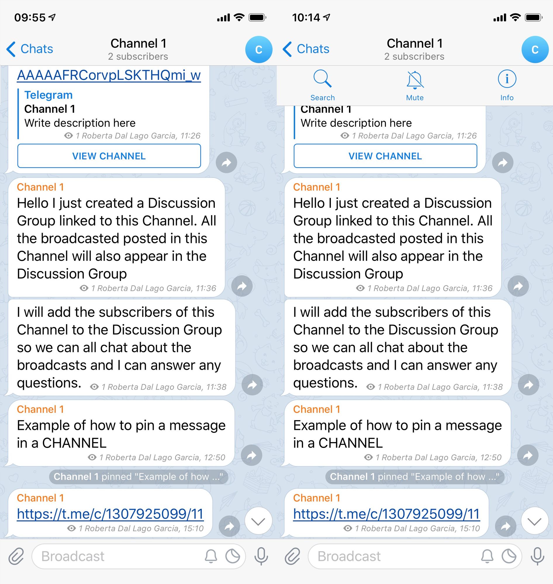 Per disattivare le notifiche sul canale Telegram premere il nome del canale > premere il campanello.