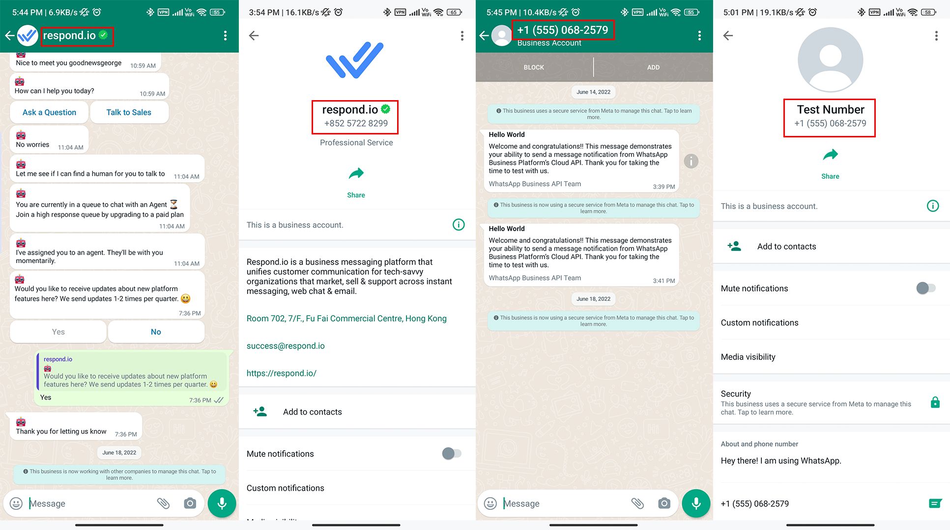 Comment le nom de la société whatsapp diffère entre les comptes officiels et ceux par défaut