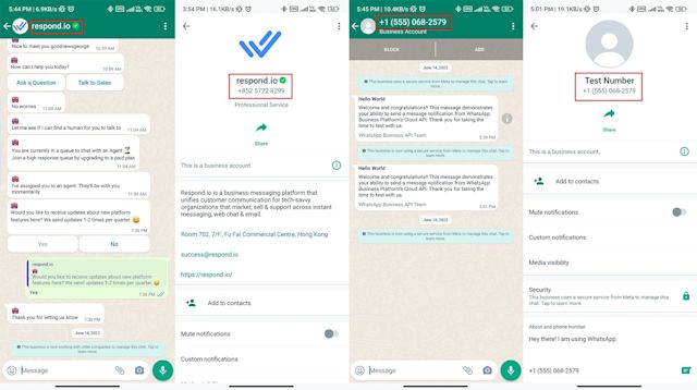 How the whatsapp company name differs between official and default accounts
