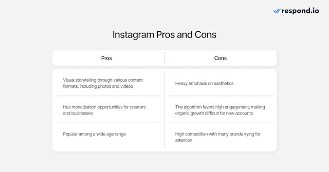 The pros and cons of using Instagram as a business or content creator