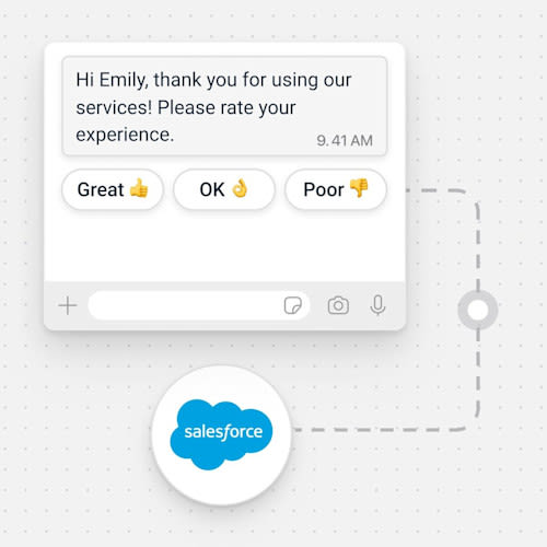 Example of using WhatsApp API for customer surveys