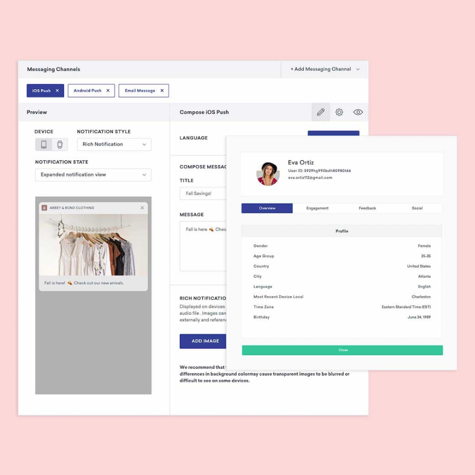 Image depicting the user interace of Braze. 