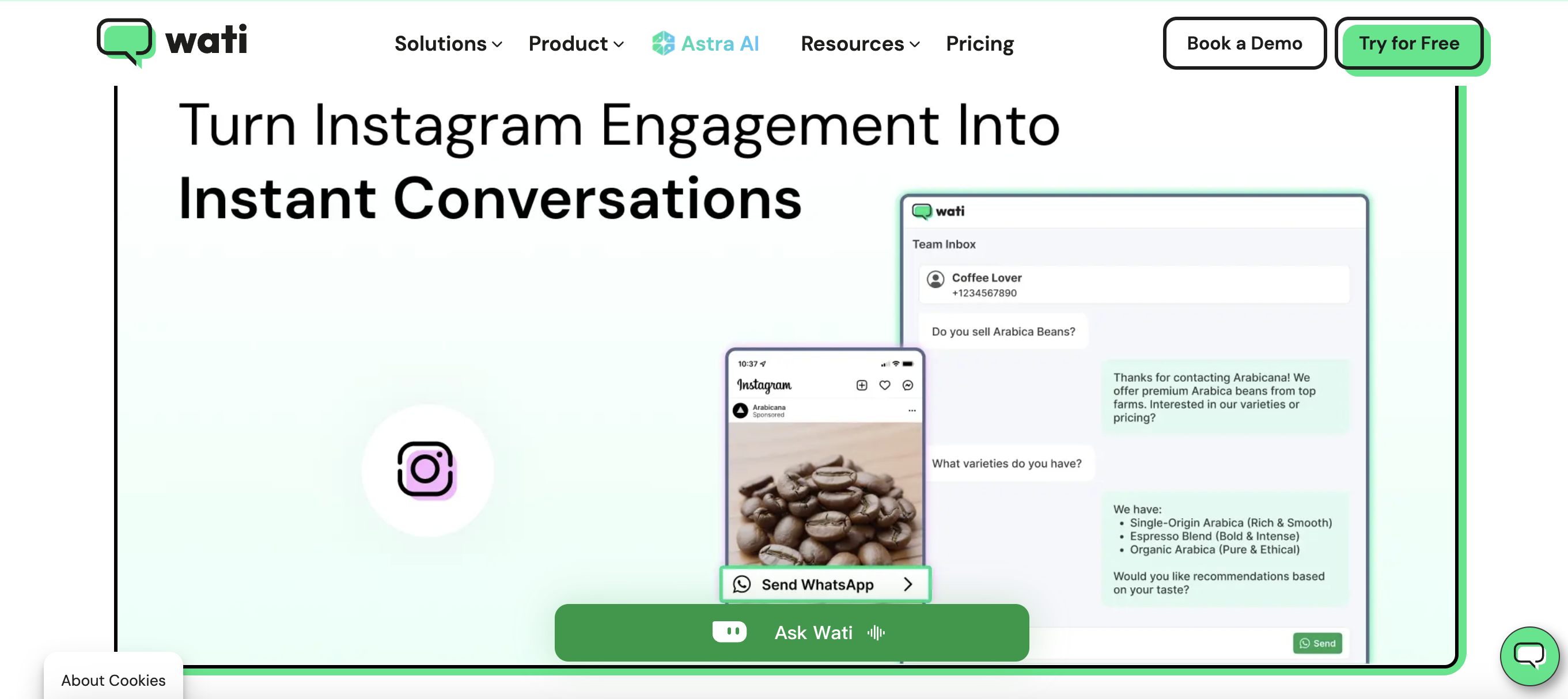 Screenshot of the landing page for Wati's Instagram chatbot
