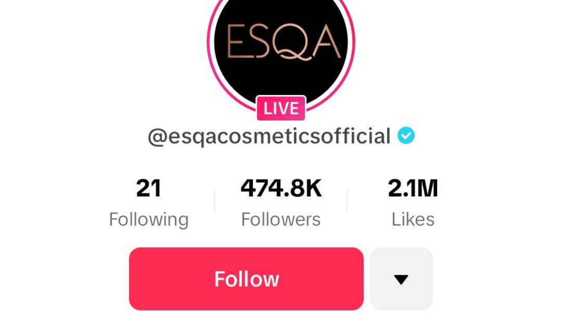 Screenshot showing an example of what a verified TikTok business account looks like